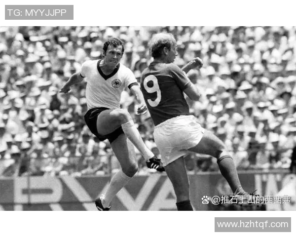 足球巨星的传奇人生与辉煌成就全方位解析